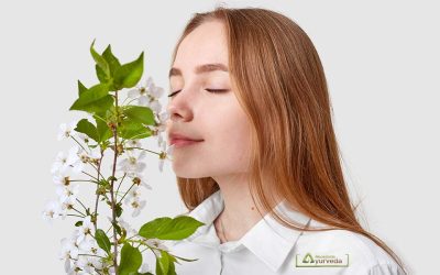 Тренинг со мирис – врати го природно сетилото за мирис и вкус